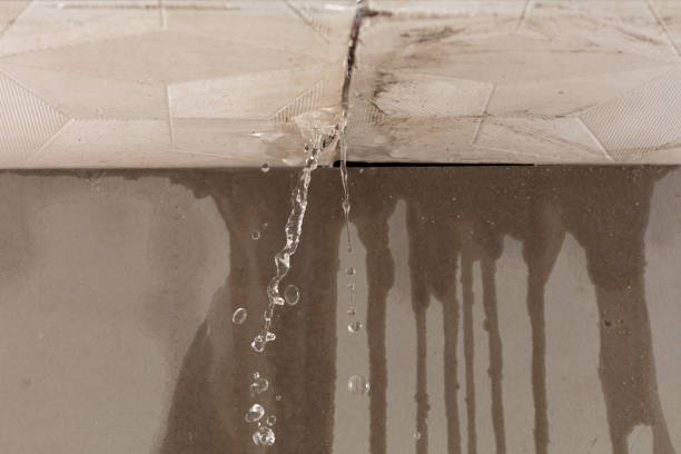 Professional Water Damage Inspection technician working in Columbia, CA